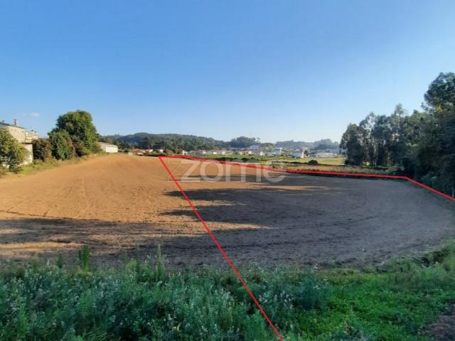 Terreno venda em Trofa Velha, Trofa