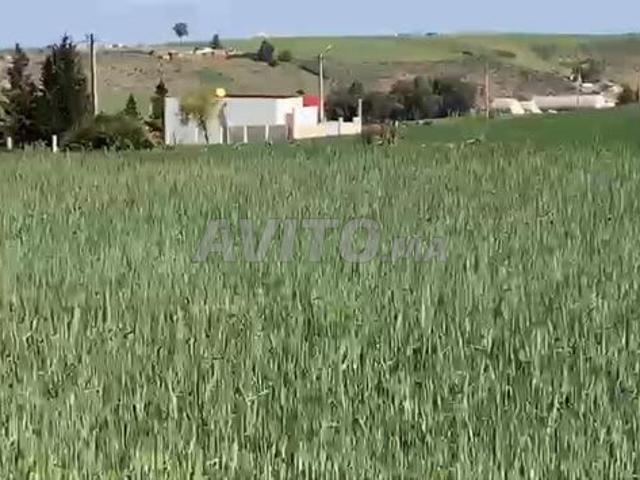 Propriété vente à Sidi Allal El Bahraoui