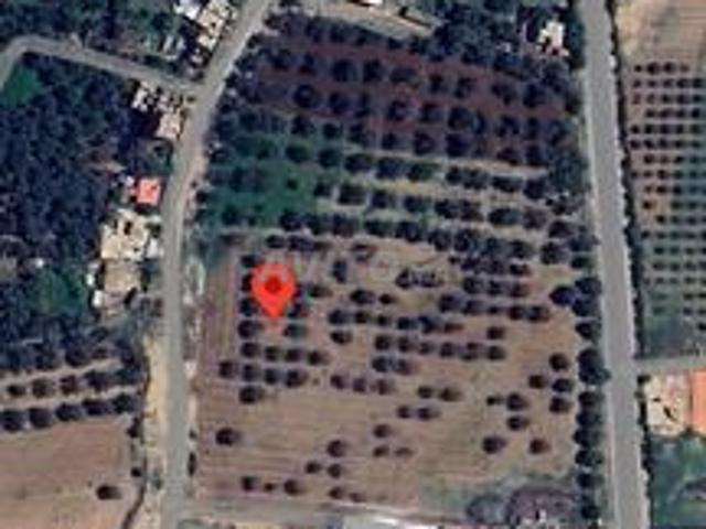 Propriété vente à Mellal