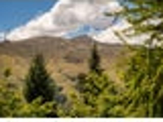 Land for sale in Otakou