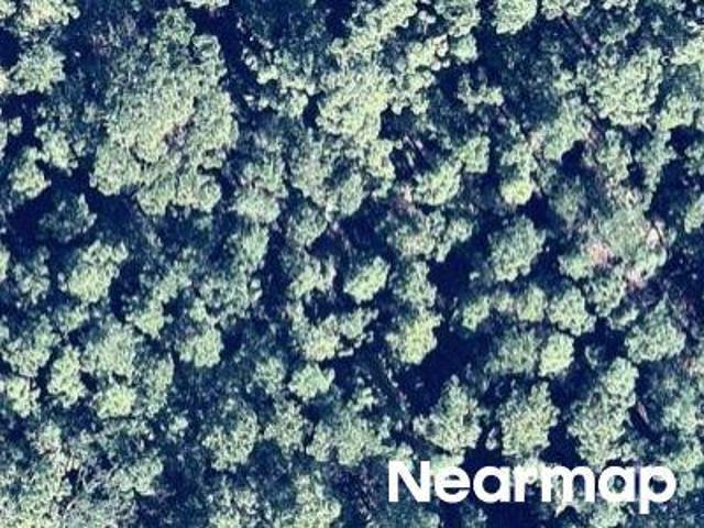 Land for sale in Florida