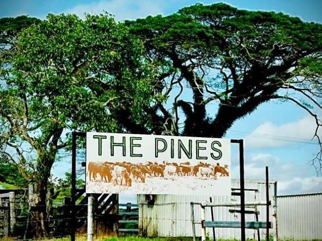 Cottage for sale in Julatten, Queensland