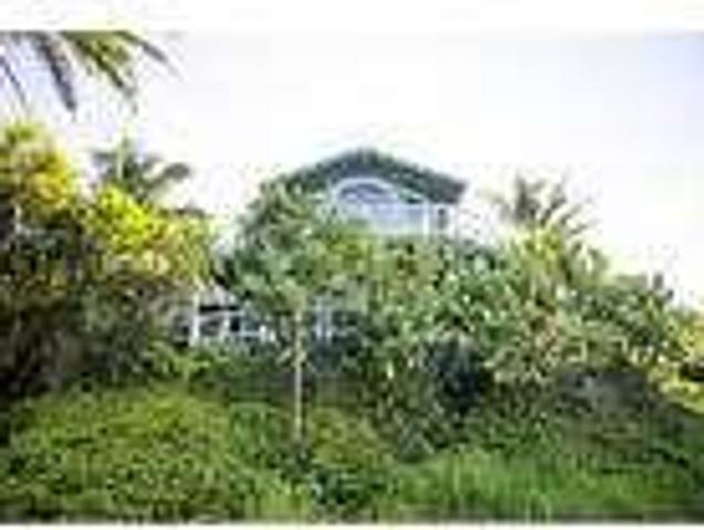 House for rent in Haiku, Hawaii