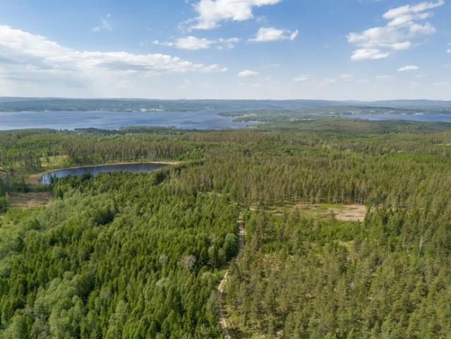 Gård till salu i Värmland