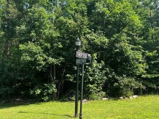 Land for sale in Mount Pleasant