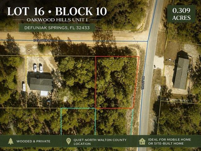 Land for sale in Walton, Florida