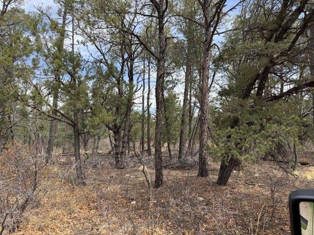 House for rent in Timberon, New Mexico