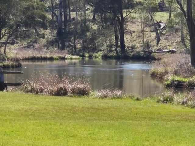 House for sale in Ebor, Armidale Regional Council