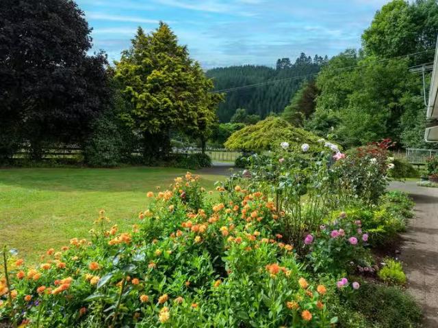 House for rent in Bay Of Plenty