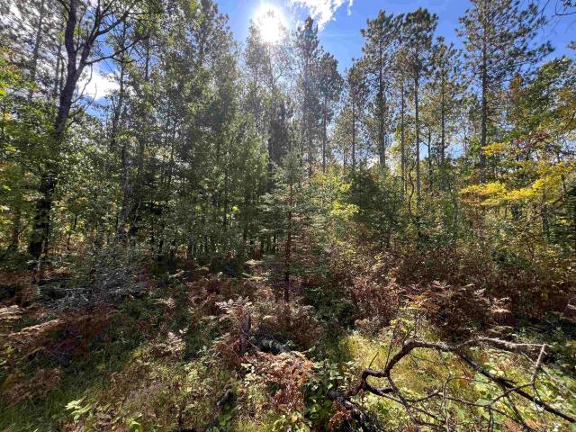 Land for sale in Town of Dunbar, Marinette County