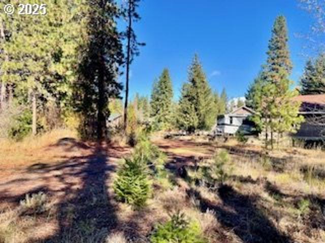 Land for sale in Trout Lake, Washington