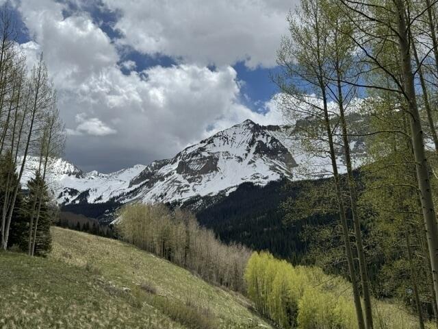 Land for sale in Ophir, Colorado