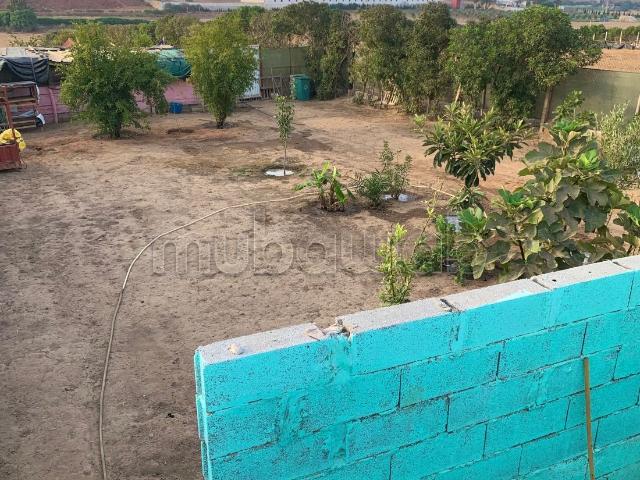 Ferme vente à Chellalate, Gharb-Chrarda-Beni Hssen