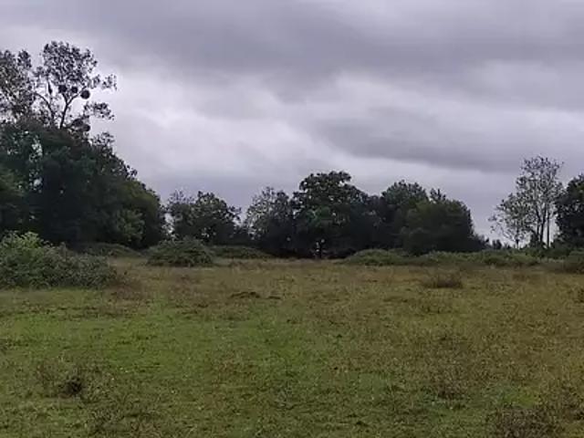 Terrain vente à Lisieux, Trouville-sur-mer