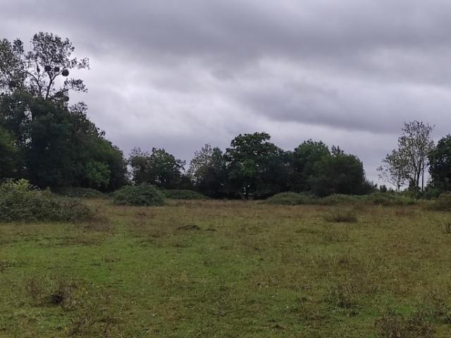 Terrain vente à Lisieux, Trouville-sur-mer