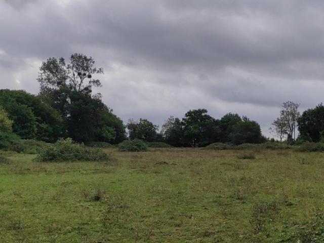 Terrain vente à Lisieux, Trouville-sur-mer