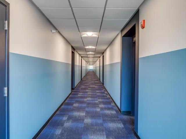 Apartment for rent in Bailey, Michigan