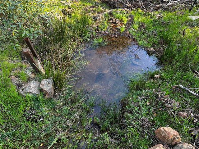 Land for sale in Shasta, California