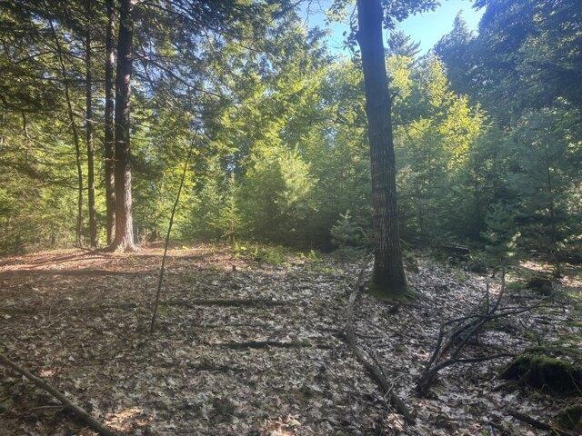 Land for sale in Waldo, Maine