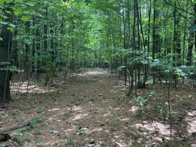 Land for sale in Waldo, Maine