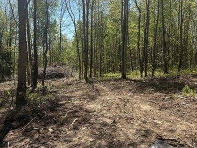 Land for sale in Troy, Vermont
