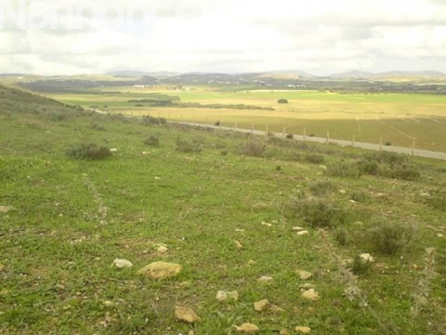 Terrain location