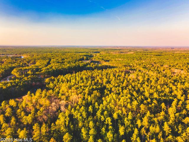 Land for sale in Scotland, North Carolina