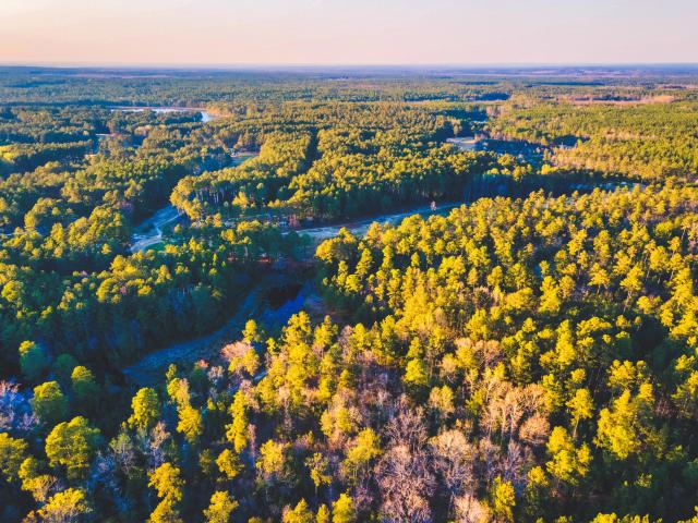 Land for sale in Scotland, North Carolina