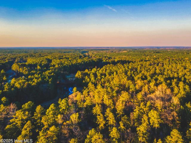 Land for sale in Scotland, North Carolina