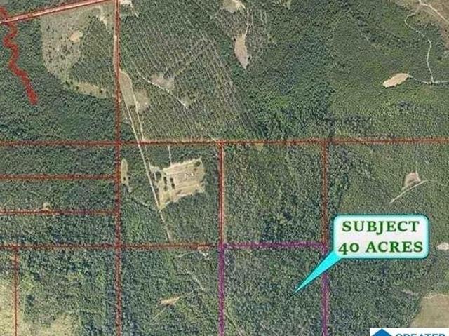 Land for sale in Loxley, Alabama