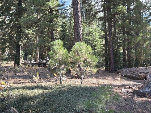 Land for sale in Modoc, California