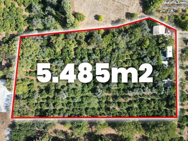Kahramandere Mahallesi, Güzelbahçe içerisinde satılık Arsa