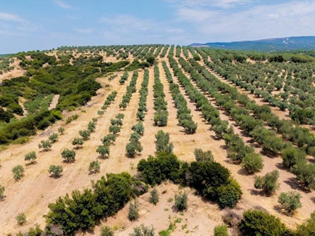 Turgutlu, Manisa içerisinde satılık Arsa