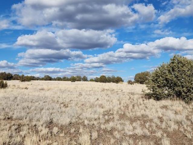 Land for sale in Ash Fork, Arizona