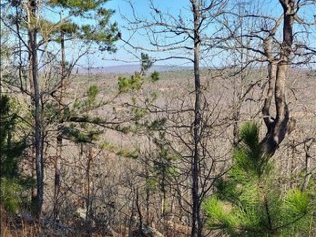 Land for sale in Pittsburg, Oklahoma