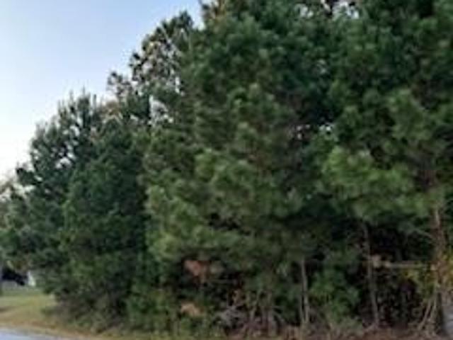Land for sale in Murfreesboro