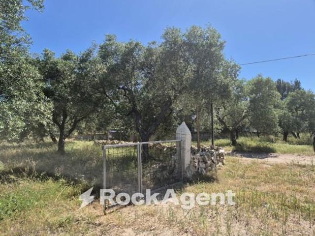 Rustico in vendita a Andria, Barletta-andria-trani