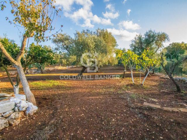 Villa Indipendente in vendita a Puglia, Brindisi