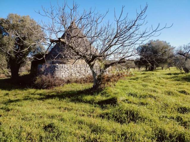 Rustico in vendita a Puglia, Bari
