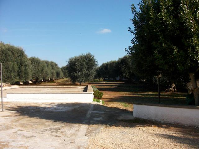 Rustico in vendita a Puglia, Brindisi