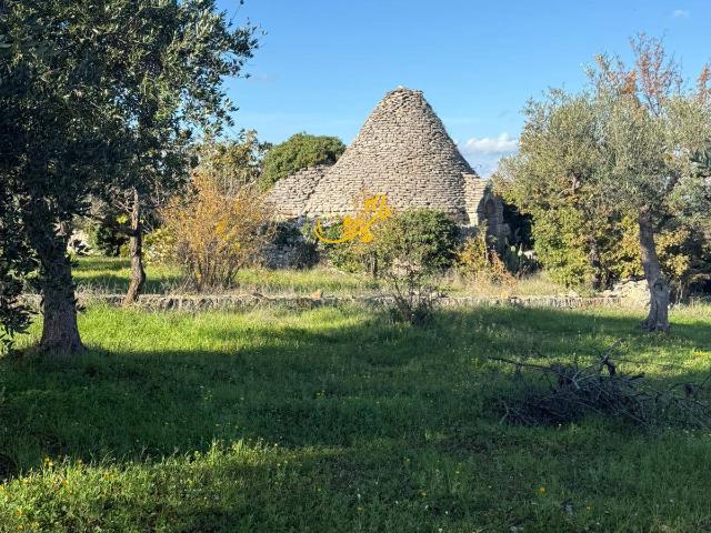 Villa Indipendente in vendita a Centro Storico, Puglia