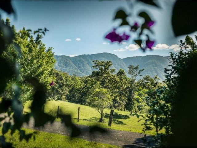Cottage for sale in Gleniffer, New South Wales