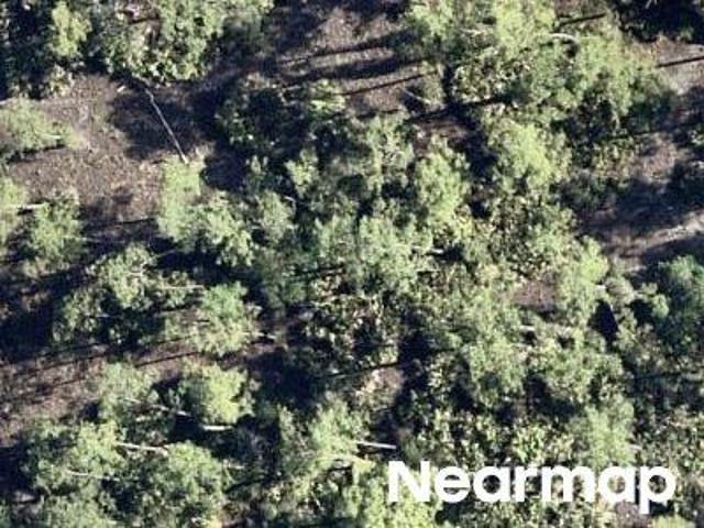Property for sale in Alva, Florida