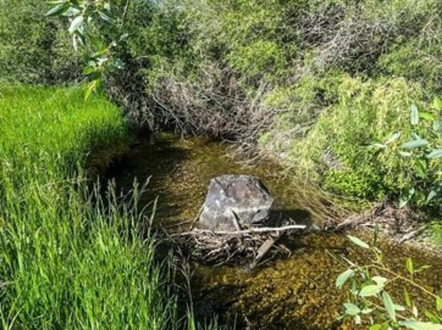 Land for sale in Swan Valley, Idaho