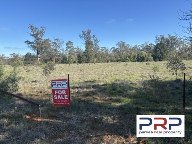 Land for sale in Tullamore, New South Wales