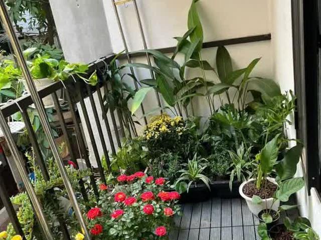 Nhà bán tại Hoàn Kiếm, Hà Nội