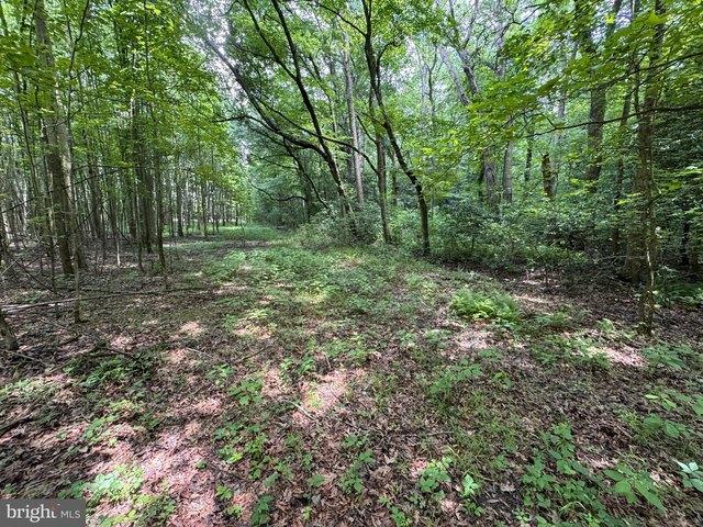 Land for sale in Henderson, Maryland