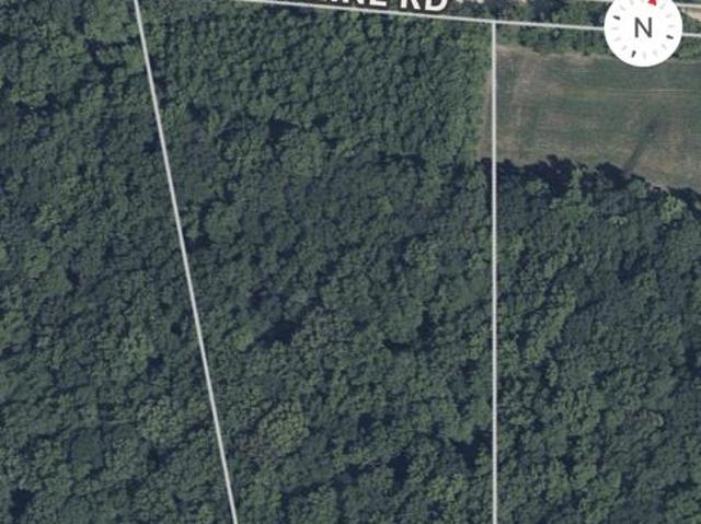 Land for sale in Henderson, Maryland
