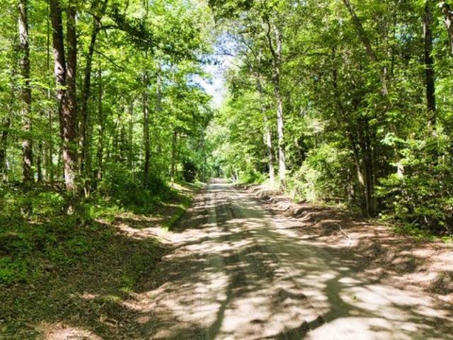 Land for sale in Henderson, Maryland