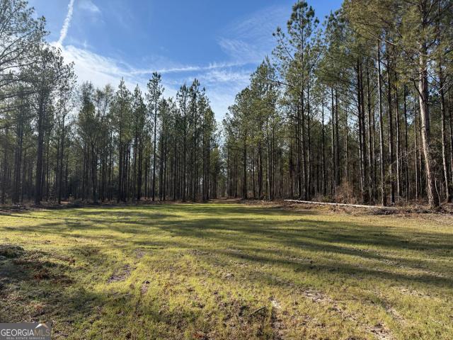 Land for sale in Jeffersonville, Georgia